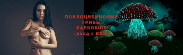 гидропоника Новокубанск