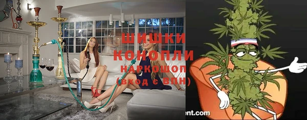 не бодяженный Новозыбков