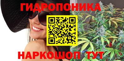 молекула духа Новодвинск