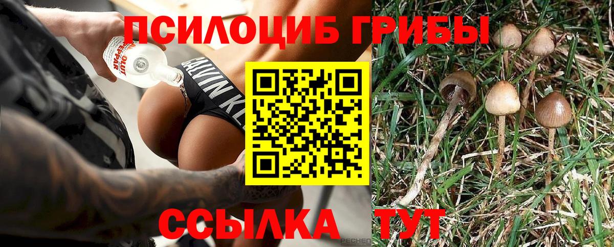 Галлюциногенные грибы GOLDEN TEACHER  Вход с VPN  Омск  Галлюциногенные грибы ЛСД 