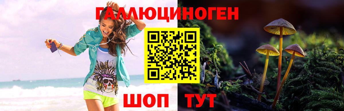 Галлюциногенные грибы Magic Shrooms Омск